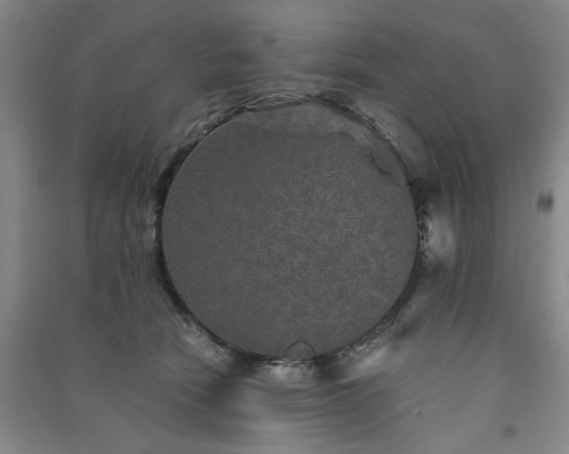 X0000091360466200708171527