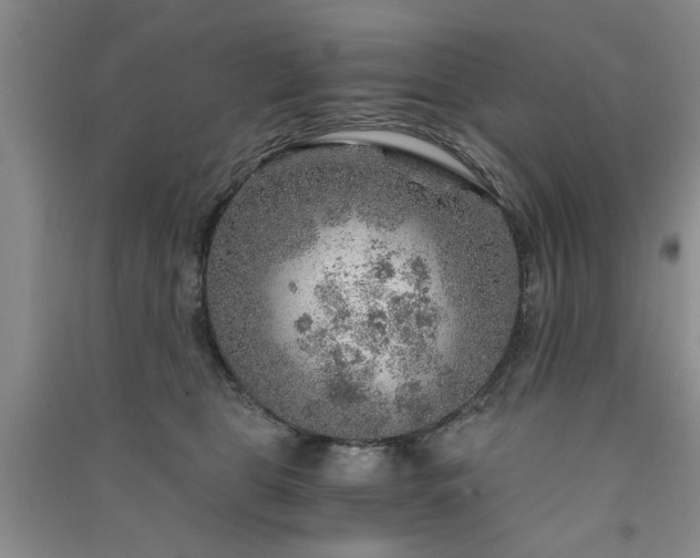 X0000091360469200708171527