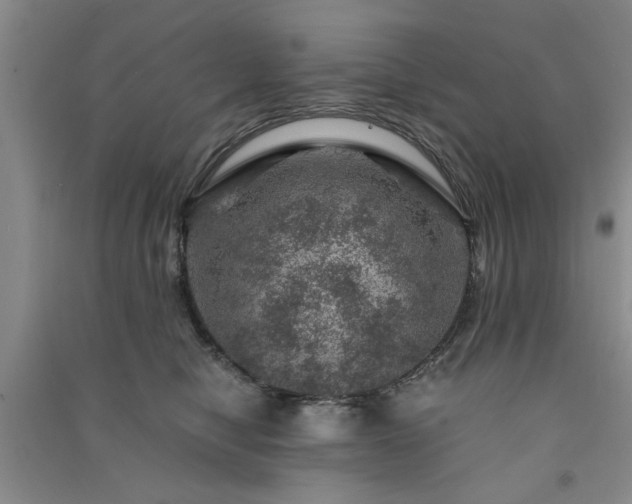 X0000091360470200708171527
