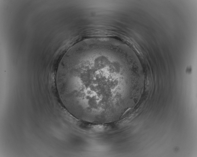 X0000091360473200708171527