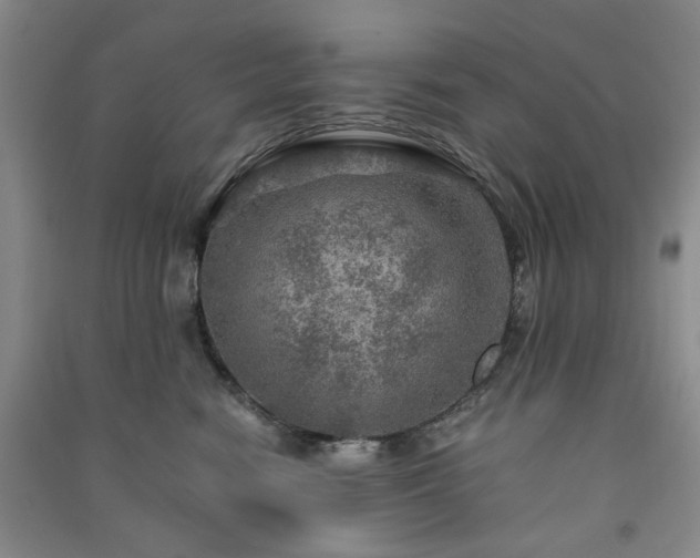 X0000091360474200708171527
