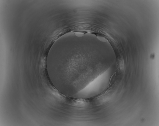 X0000091360475200708171527