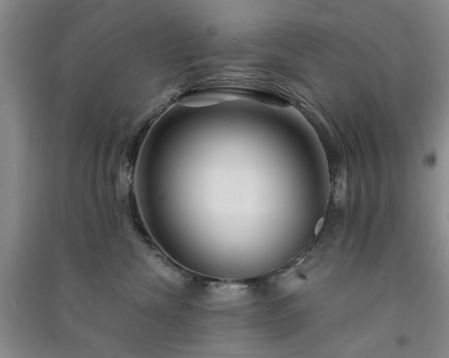X0000091360476200708171527