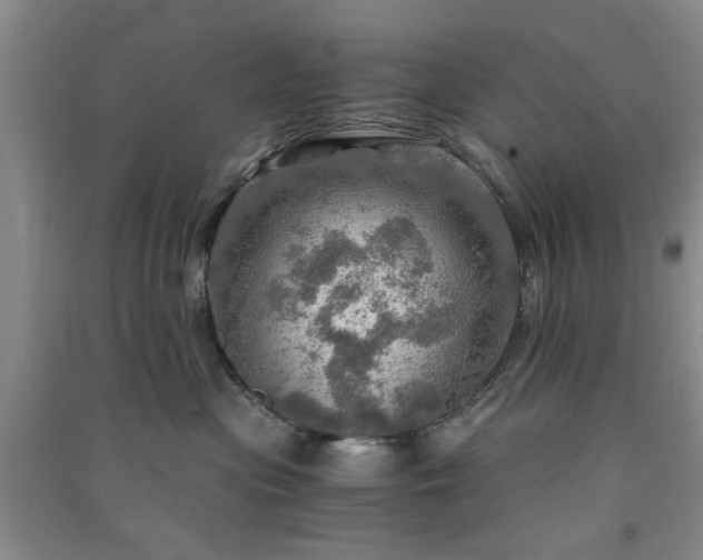 X0000091360477200708171527