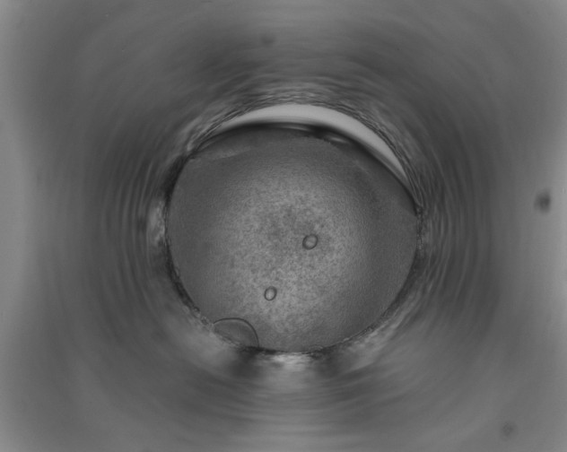 X0000091360478200708171527
