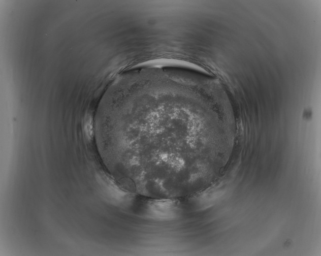 X0000091360479200708171527