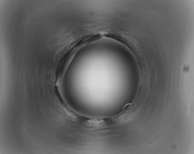 X0000091360480200708171527