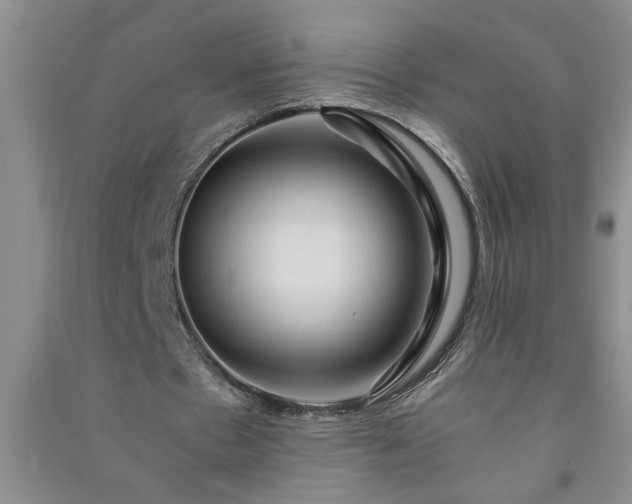 X0000091360481200708171527