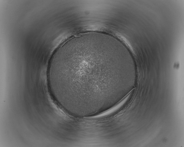 X0000091360482200708171527
