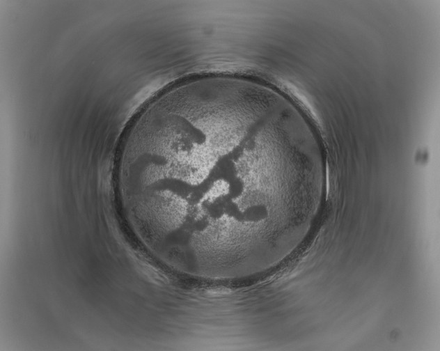 X0000091360483200708171527
