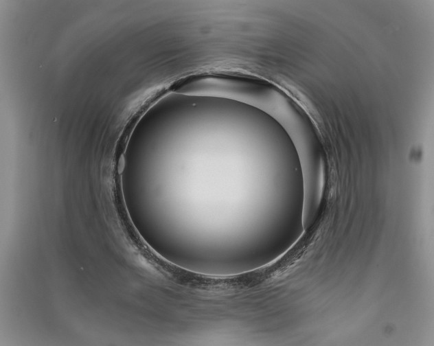 X0000091360485200708171527