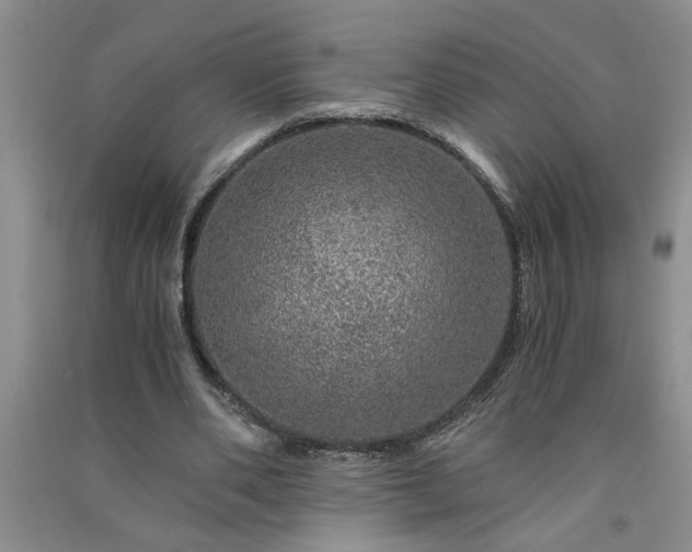 X0000091360486200708171527
