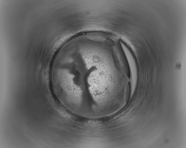 X0000091360487200708171527