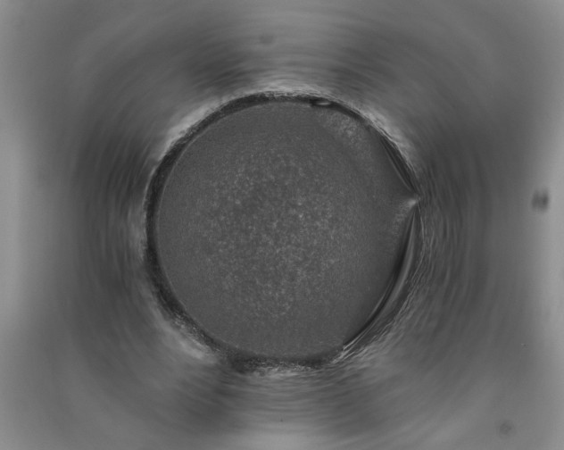 X0000091360488200708171527