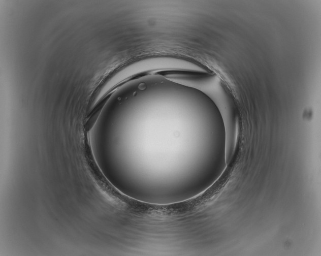 X0000091360489200708171527