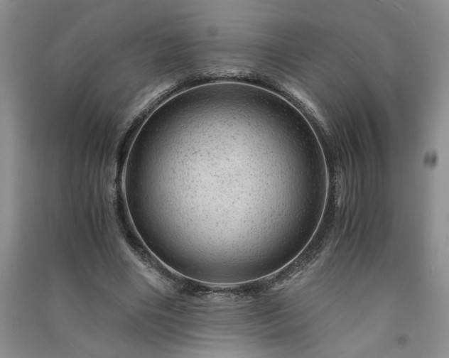 X0000091360490200708171527