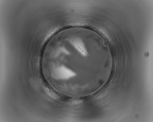 X0000091360491200708171527