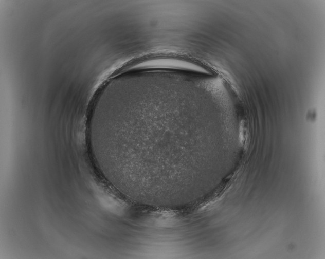 X0000091360492200708171527