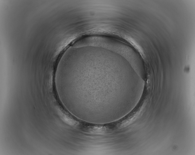 X0000091360493200708171527