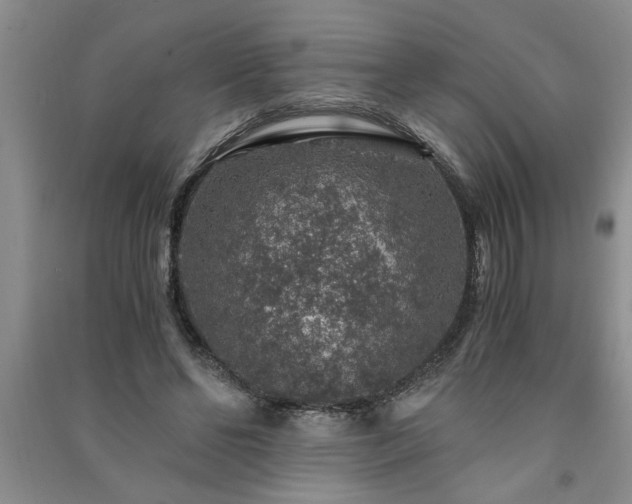 X0000091360494200708171527