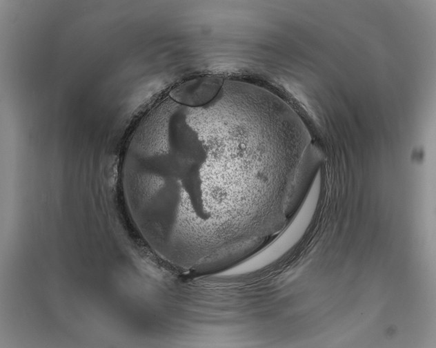 X0000091360495200708171526