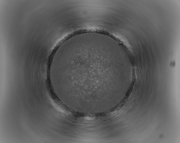 X0000091360496200708171526