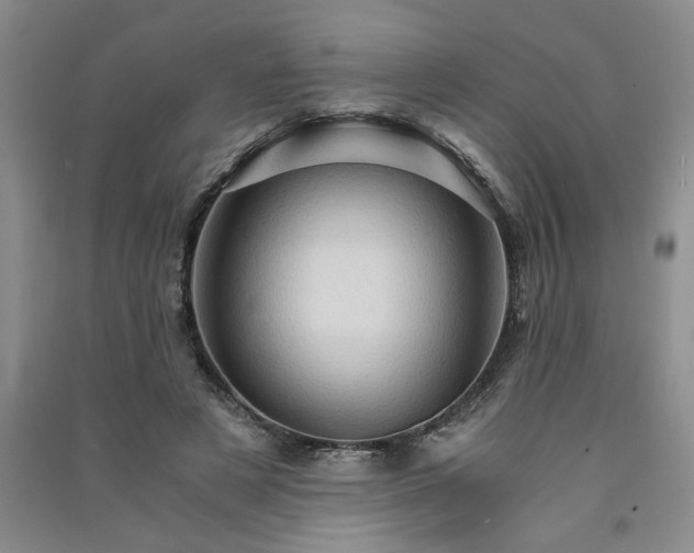 X0000091360497200708171526