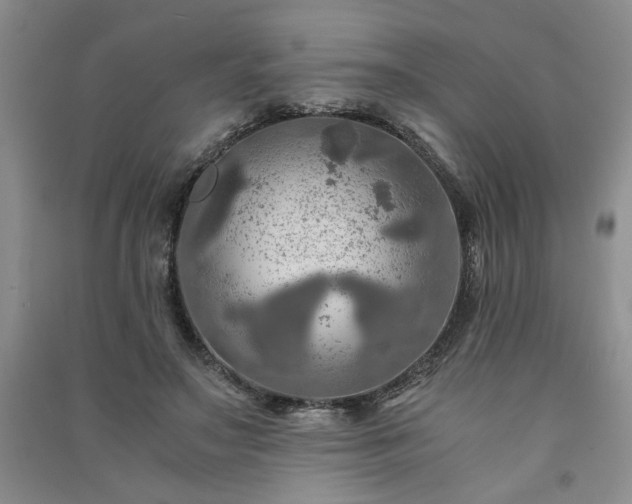 X0000091360499200708171526