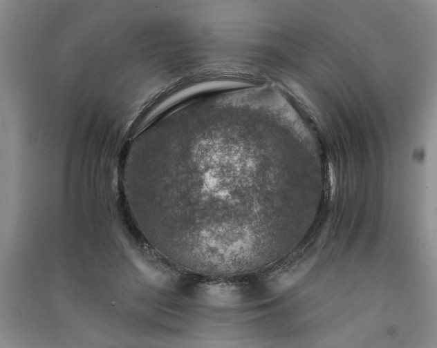 X0000091360500200708171526