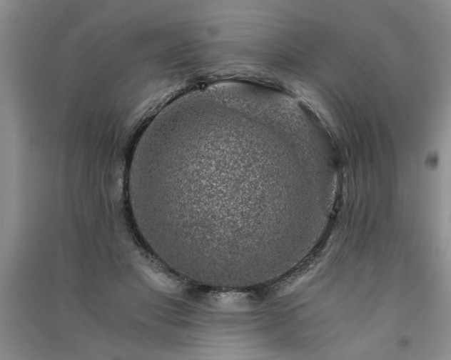 X0000091360501200708171526