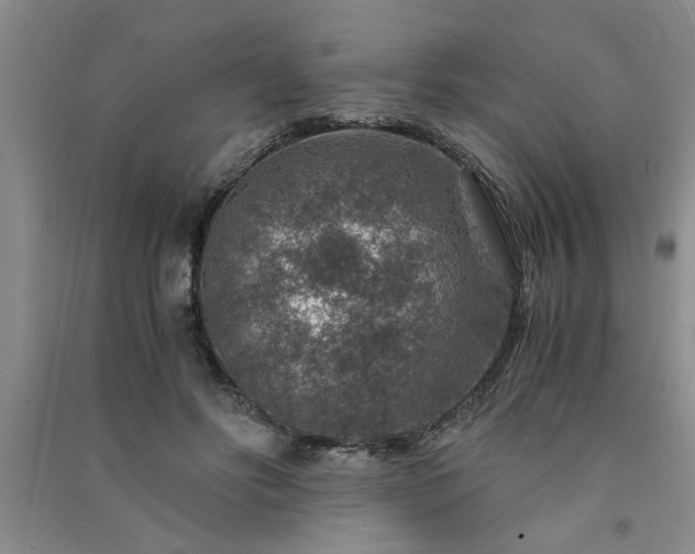 X0000091360502200708171526