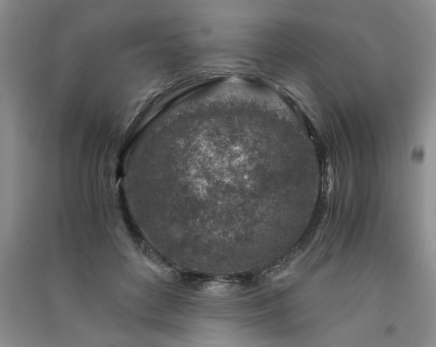 X0000091360504200708171526