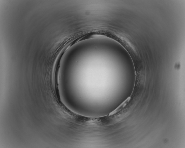 X0000091360505200708171526