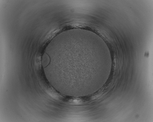 X0000091360506200708171526