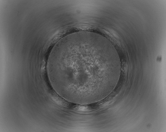 X0000091360507200708171526