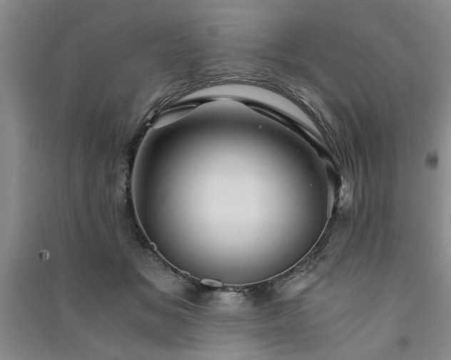X0000091360509200708171526
