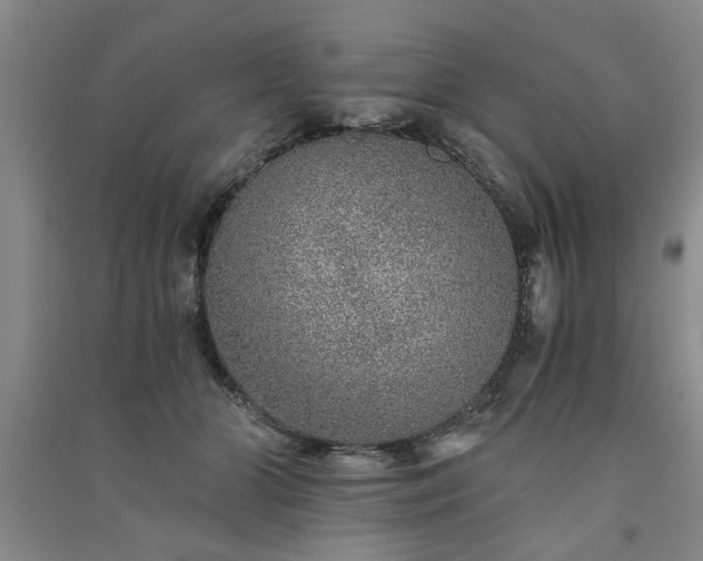 X0000091360510200708171526