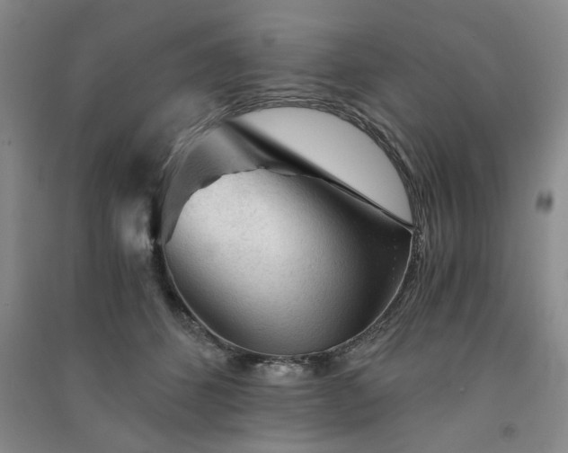 X0000091360512200708171526