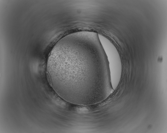 X0000091360513200708171526