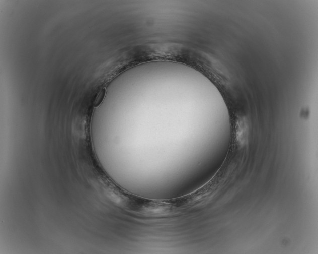 X0000091360514200708171526