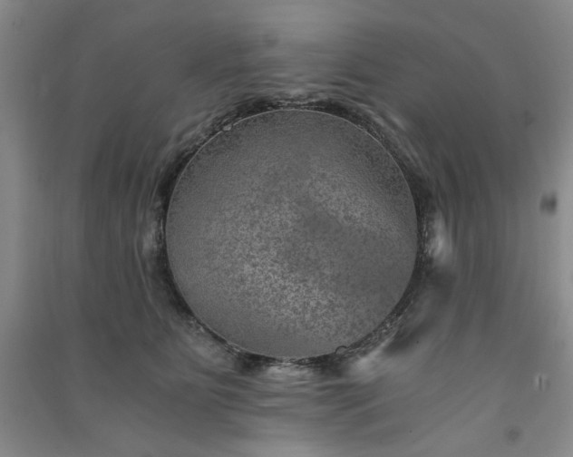X0000091360515200708171526