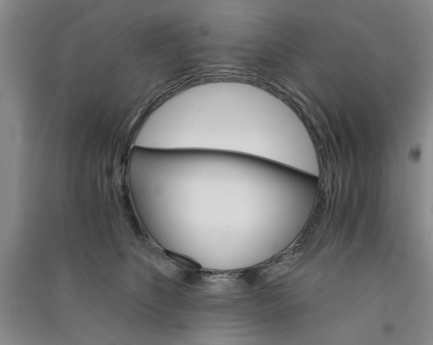 X0000091360516200708171526