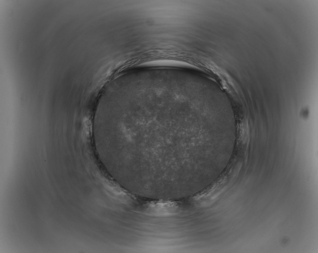 X0000091360517200708171526