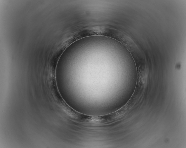 X0000091360518200708171526