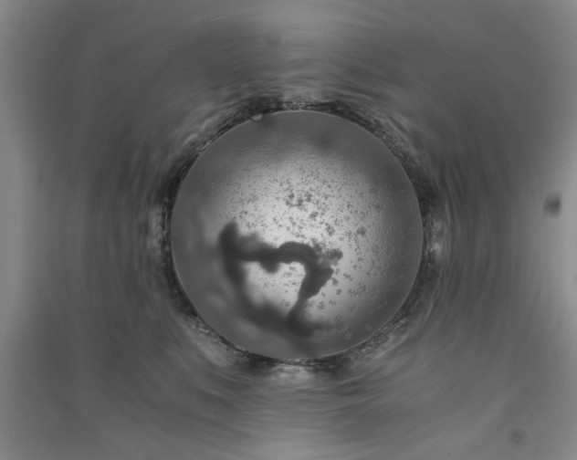 X0000091360519200708171526