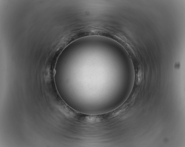 X0000091360520200708171526