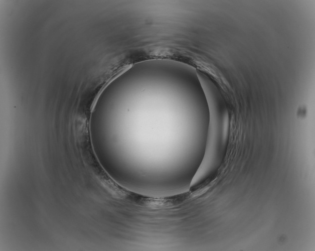X0000091360521200708171526
