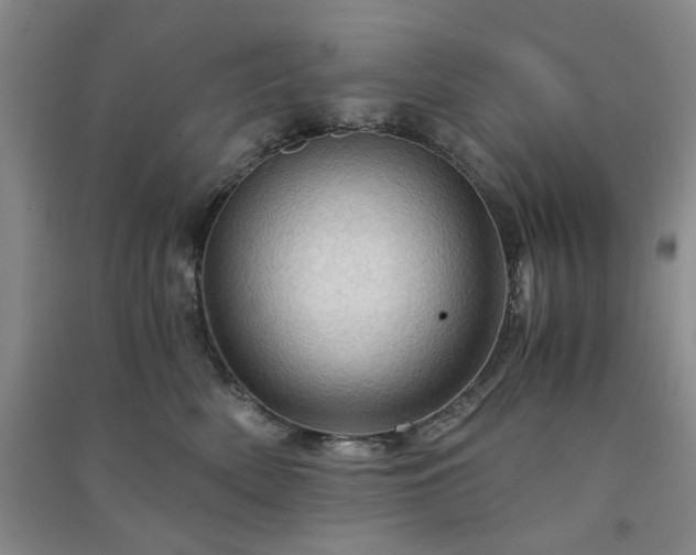 X0000091360522200708171526
