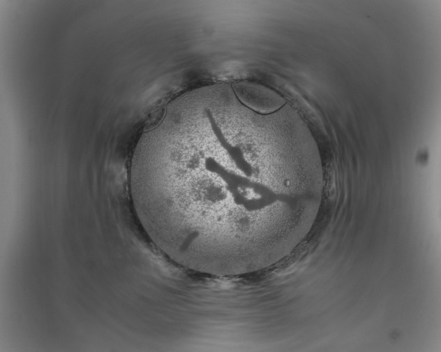 X0000091360523200708171526