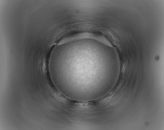 X0000091360524200708171526